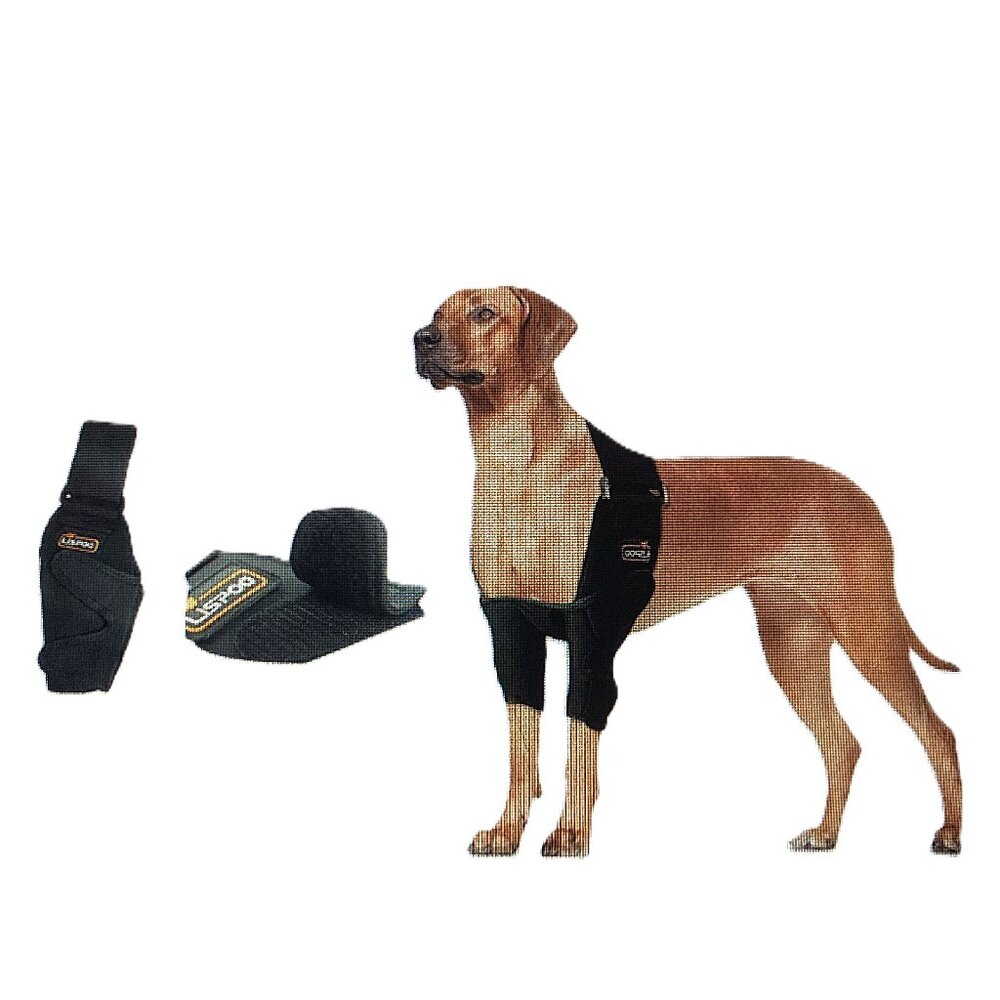 ELBOW BRACE,  SM,  LISPOO,  dog, NWT